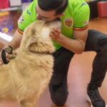 foto florin nita inima mare promoveaza cateii cu sanse mici de adoptie loialitate si iubire neconditionata 6767cf810a9be