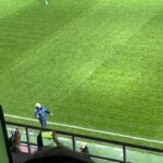 galerie foto marius sumudica a recidivat derapajul antrenorului lui rapid din timpul meciului cu gloria buzau 676087f0e5f78