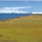 imagini din satelit arata ca antarctica este mai verde astazi decat in urma cu 35 de ani 6751c377023d2