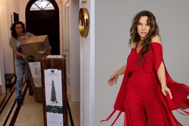 imagini din sufrageria annei lesko decorata de craciun are cinci brazi in living pe care nu i a impodobit cu globuri 67546450870a3