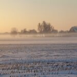 lapovita si ninsoare in dobrogea cand se raceste vremea si cum va fi in ajunul craciunului 676437c60cf84