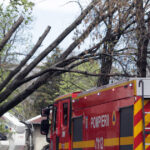 masini distruse de copacii cazuti din cauza vantului in piatra neamt a fost emis mesaj ro alert 67614760cf4d5