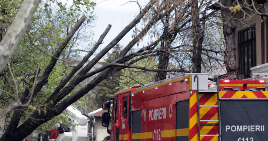 masini distruse de copacii cazuti din cauza vantului in piatra neamt a fost emis mesaj ro alert 67614760cf4d5