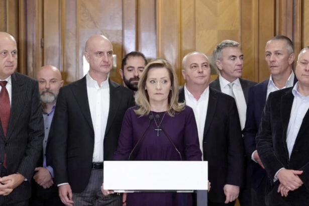 mesajul oamenilor de afaceri care au sustinut o pe elena lasconi dupa anularea alegerilor prezidentiale 6756cf3fb967c