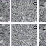 neuronii nu arata asa cum credeam dezvaluie un studiu controversat 6751c3916dcb3