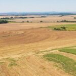 parlamentul a adoptat legea asteptata de ani de zile de fermieri durata arendarii terenurilor este de minimum 7 ani 676171e1b110e