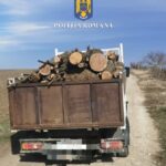politistii din medgidia au prins trei barbati transportand lemn taiat ilegal in apropierea comunei baneasa 67557fce6c55c
