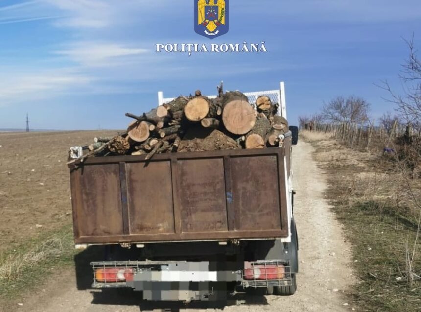politistii din medgidia au prins trei barbati transportand lemn taiat ilegal in apropierea comunei baneasa 67557fce6c55c