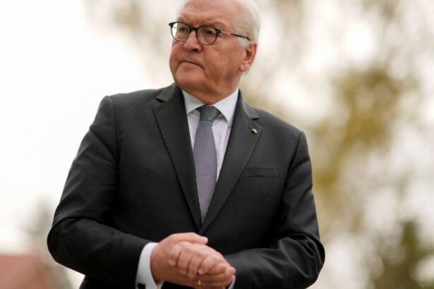 presedintele germaniei dizolva parlamentul si fixeaza data alegerilor anticipate pentru 23 februarie 676ea2b59b879