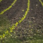 preturile terenurilor agricole din romania unde sunt cele mai scumpe terenuri si cum ne pozitionam in ue 676930517b360