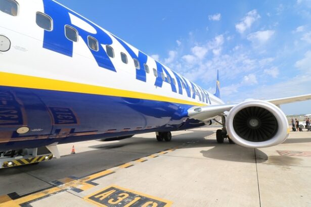 ryanair va primi pana la 29 de aeronave boeing 737 investitie de 3 miliarde dolari in noua tehnologie a aeronavelor mesaj anti taxe 6772951ad7581