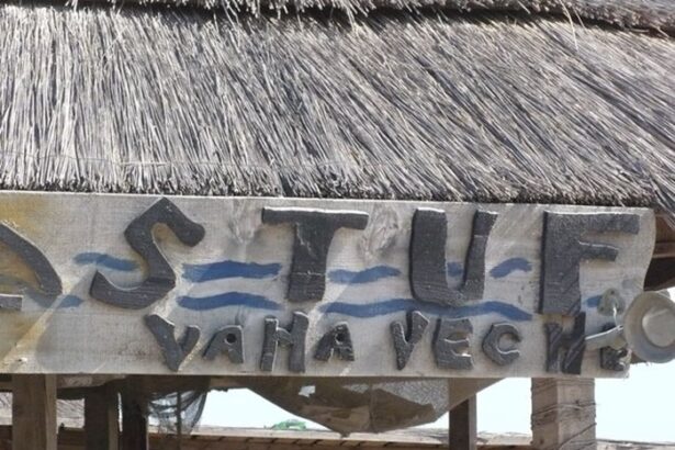 stuf vama veche se inchide va fi ras cu un buldozer de pe fata pamantului dupa doua decenii de lupta rechinii au invins 676027168cf00