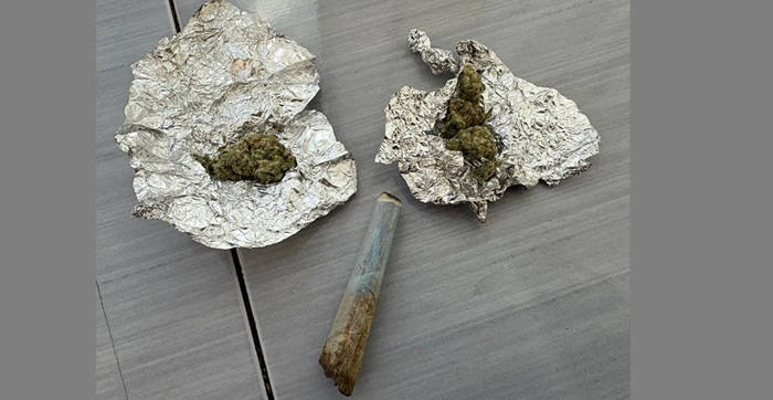 surpriza pe strada independentei din medgidia un tanar s a panicat cand i a vazut pe jandarmi 676023a0ed085