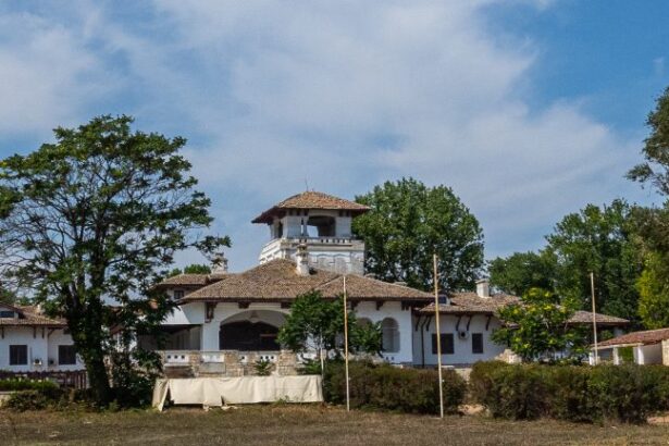 temelii culturale inca un pas inainte pentru restaurarea si amenajarea vilei reginei maria din mamaia 6760d434ac186