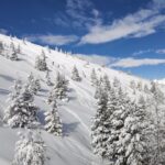 temperaturi oscilante in urmatoarele doua saptamani probabilitate de precipitatii dupa 3 ianuarie 677295124726d