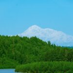 trump are o noua decizie va schimba numele celui mai inalt munte din america de nord a fost un mare presedinte 6769420a59b79