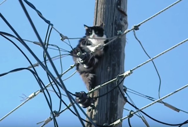 ultima ora cresteri ale tarifelor de transport si distributie a energiei electrice cu pondere de peste un sfert in factura la curent nu le vom resimti pana la primavara 6765270b1367a