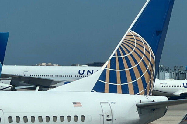 un cadavru a fost descoperit in zona rotii unui avion united airlines dupa aterizarea in hawaii 676c903f69238
