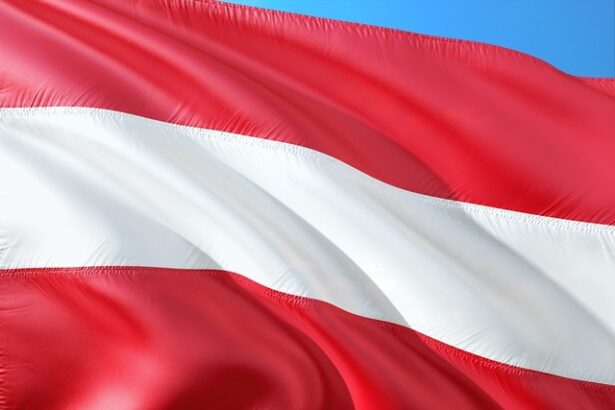 val de concedieri prognozat in austria 675c878425462