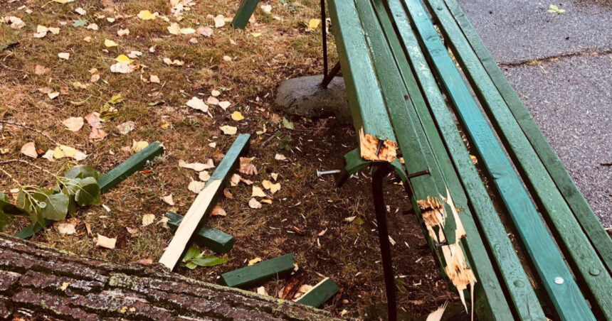 vantul puternic a doborat 82 de copaci in bucresti 69 de autoturisme au fost avariate 676bea9b1f1af