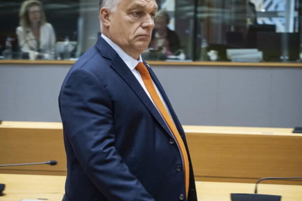viktor orban este convins ca razboiul din ucraina se va incheia in 2025 si a prezentat doua optiuni 676aa3891aa5c