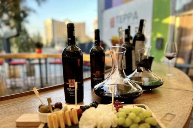 vinul zilei un cupaj rosu din merlot cabernet sauvignon si burgund mare din banat silagiu cu arome savuroase de fructe de padure visine ciocolata neagra si condimente 675bdf2507816