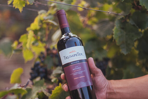 vinul zilei un malbec cu arome de prune coacaze negre cirese negre si capsuni savuros alaturi de branzeturi maturate carne rosie si paste bolognese 675000c4721d5