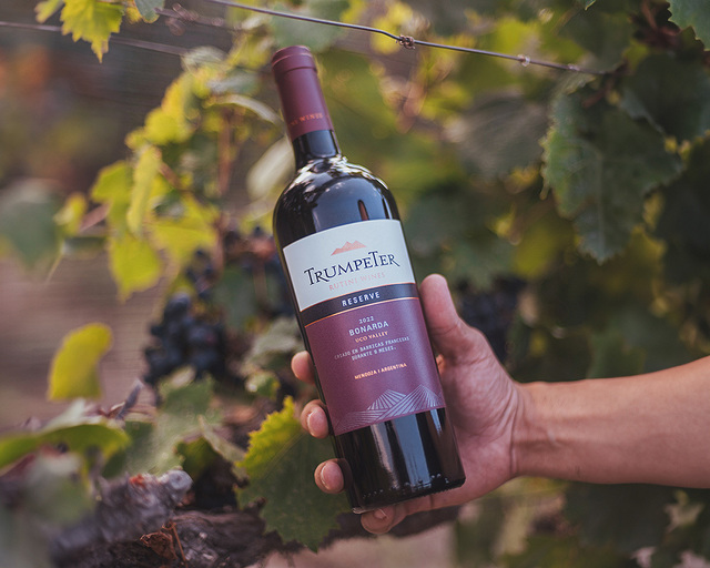 vinul zilei un malbec cu arome de prune coacaze negre cirese negre si capsuni savuros alaturi de branzeturi maturate carne rosie si paste bolognese 675000c4721d5