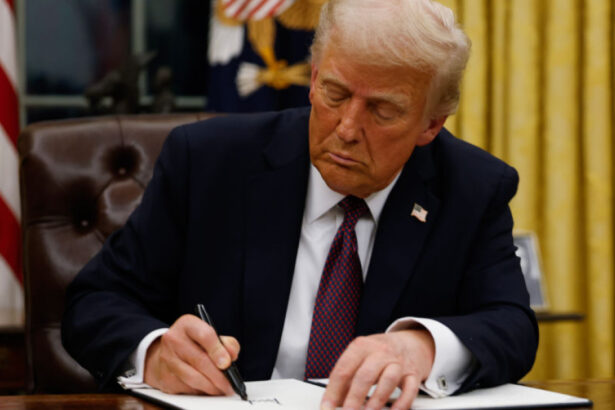 18 state americane ataca in justitie ordinul lui trump care suspenda acordarea automata a cetateniei americane prin nastere 67901a5330835
