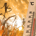 2024 a fost cel mai cald an din istorie nasa recordul de temperatura a fost spulberat 678776f457f93