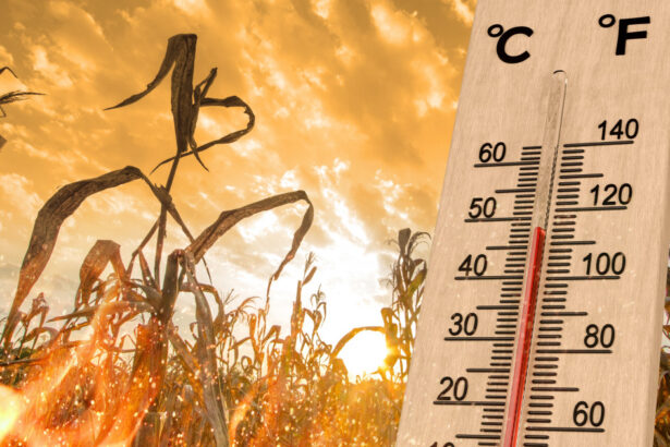 2024 a fost cel mai cald an din istorie nasa recordul de temperatura a fost spulberat 678776f457f93