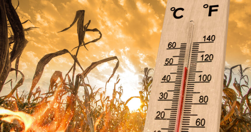 2024 a fost cel mai cald an din istorie nasa recordul de temperatura a fost spulberat 678776f457f93