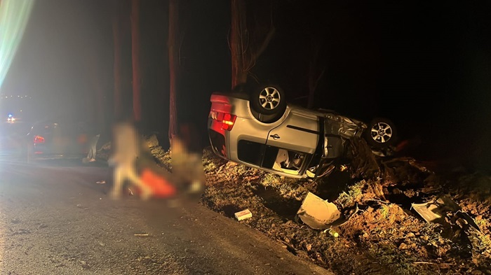 accident cumplit aproape de tulcea trei tinere au trecut pe langa moarte masina in care se aflau a intrat intr un pom 677a506a55c9f