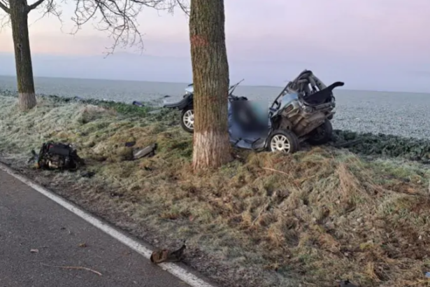 accident mortal in judetul tulcea un barbat a murit dupa ce a intrat cu autoturismul intr un copac 67752a0e17ca6