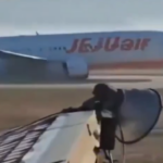 adn de rata gasit in ambele motoare ale avionului jeju air care s a prabusit potrivit unui raport 6797516a3f2e5