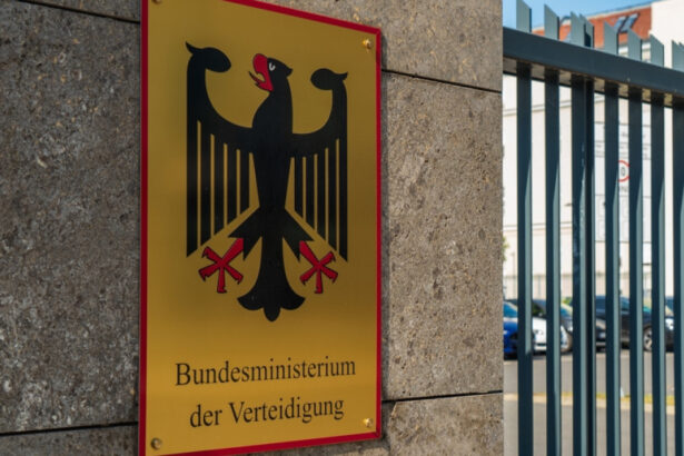 armata germana si ministerul apararii isi vor suspenda conturile de la x reteaua lui musk care este motivul 6787c0c252839