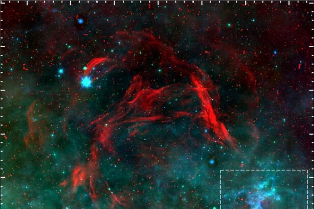 astronomii au gasit ramasite masive de supernova uimitor de aproape de pamant 677f8bfd65f4c