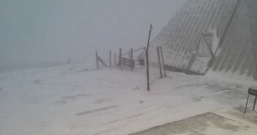 cod rosu de vant in judetul cluj zona in care rafalele vor atinge 140 de kilometri pe ora 677788dc63b1e