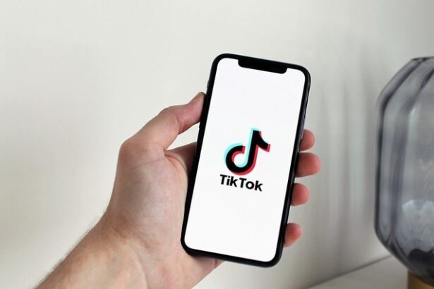 consilier donald trump presedintele va impiedica tiktok sa se inchida daca va fi un acord viabil pe masa 6789fbafa5d5d