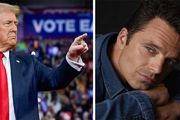 constanteanul sebastian stan nominalizat la bafta 2025 pentru rolul lui donald trump in the apprentice 678928d4bbd09
