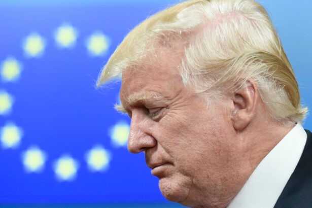 cum poate europa sa ii faca fata lui donald trump cheia strategiei europene in relatia cu sua 678a0160e0541