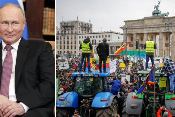 dilema ue privind ingrasamintele cum sa distrugi profiturile lui putin fara a lovi fermierii aflati deja in pragul revoltei 679ca85d64245