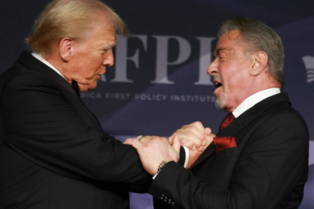 donald trump ii numeste pe mel gibson jon voight si sylvester stallone ca ambasadori speciali la hollywood 67897f223089e