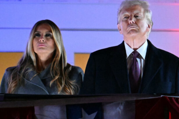 donald trump si sotia sa melania au intrat pe piata criptomonedelor ce niveluri ating monedele lor la o zi dupa lansare 678df9377218f