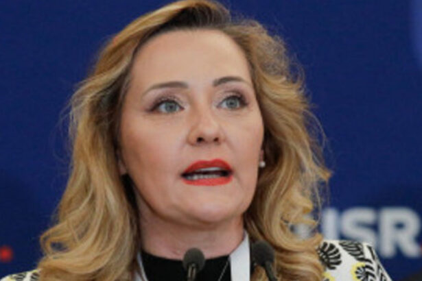 elena lasconi critica modificarile programului de vot in diaspora asistam la o discriminare cere avocatului poporului sa intervina 678923e8bec19