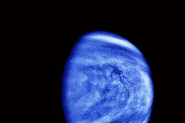 este posibil ca viata de pe venus sa ajunga acolo de pe pamant 678e67e3304af