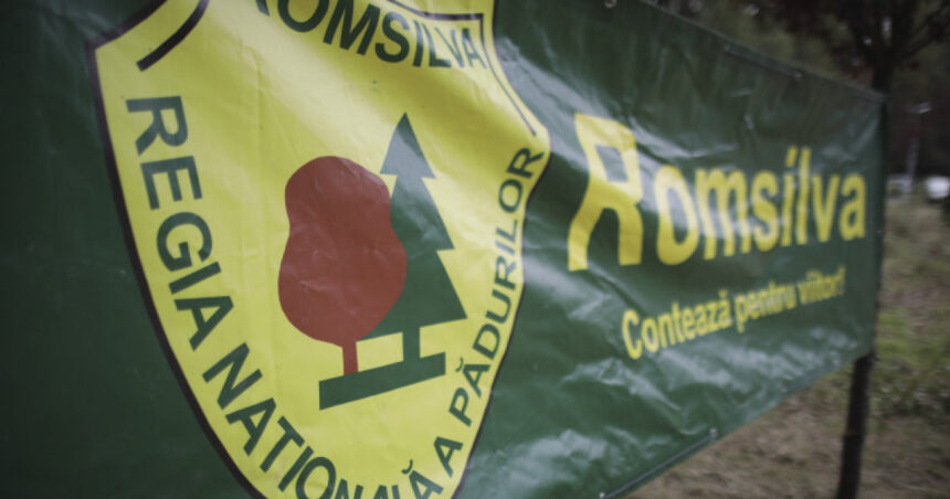 fechet vrea restructurari si la romsilva cand devii ministru al mediului esti sfatuit sa nu te certi cu vanatorii si padurarii 679539a7cefd9