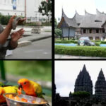 filosofia unei strategii de tara indonezia 67937077cce19