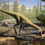 fosilele unei soparle teribile rescriu istoria globala a dinozaurilor 6787e61016811