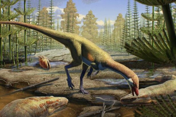 fosilele unei soparle teribile rescriu istoria globala a dinozaurilor 6787e61016811